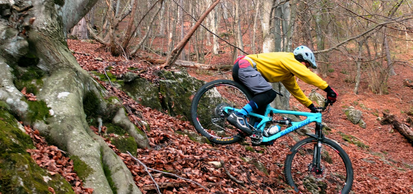 Mountainbike downhill in the autumn forest in Monte Grappa