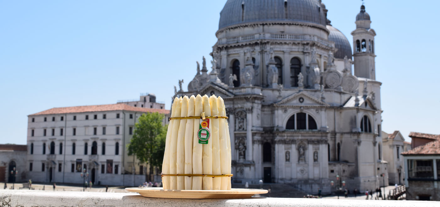 asparagi bianchi su un piatto in primo piano di fronte alla Basilica di Santa Maria della Salute a Venezia