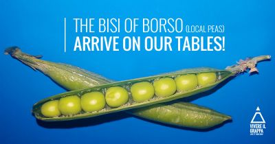 The Bisi of Borso (local peas) arrive on our tables!