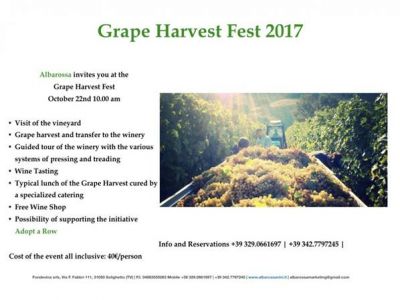 Grape Harvest Fest 2017