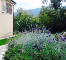 BeeHouse Agriturismo
