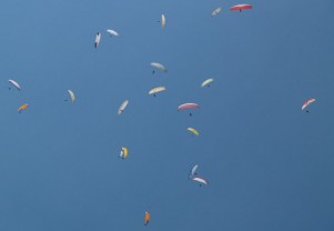 Aeroclub Volo libero Montegrappa - paragliding