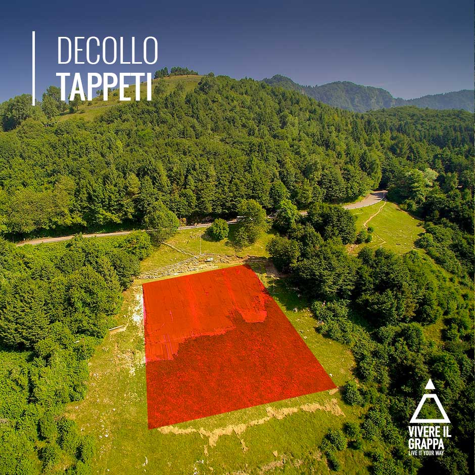 Decollo Tappeti