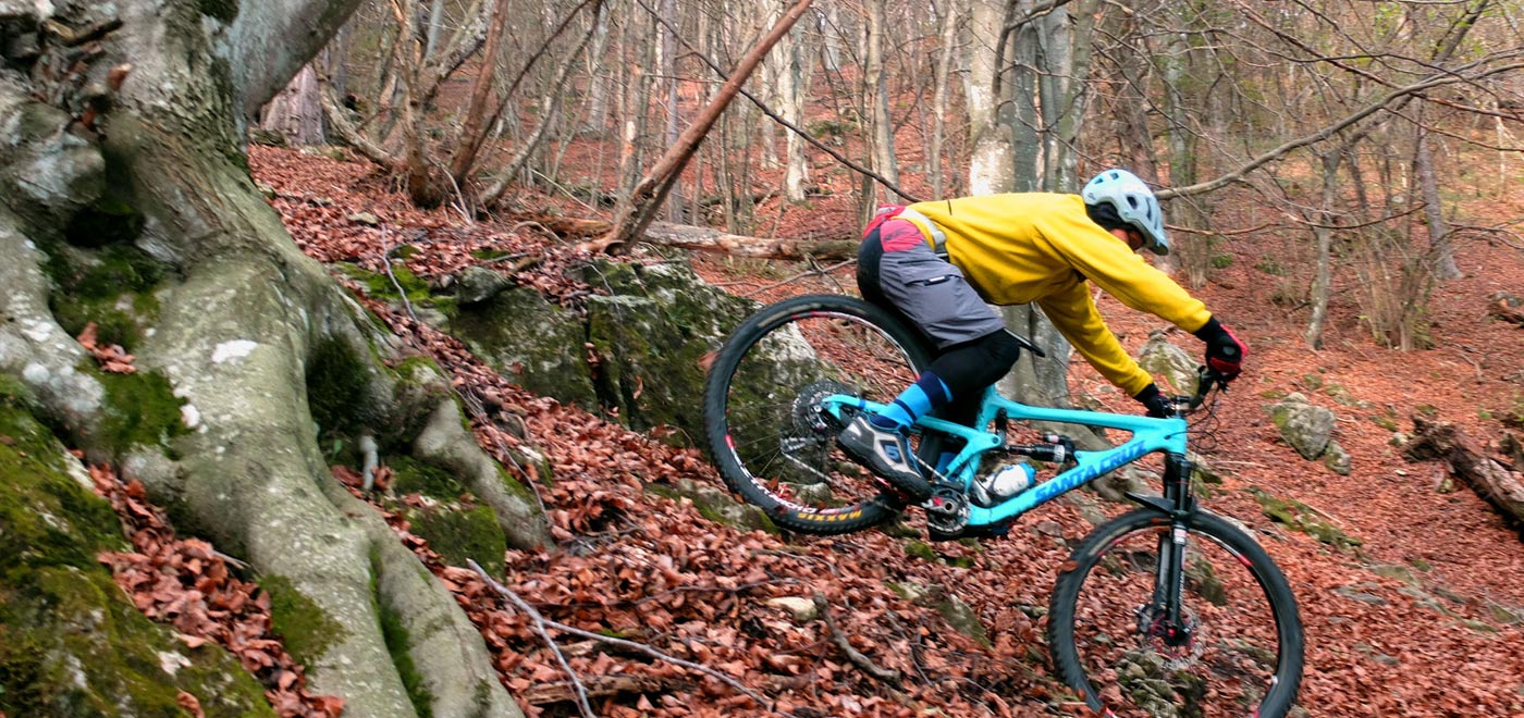 Mountainbike Downhill nel bosco d'autunno sul Monte Grappa