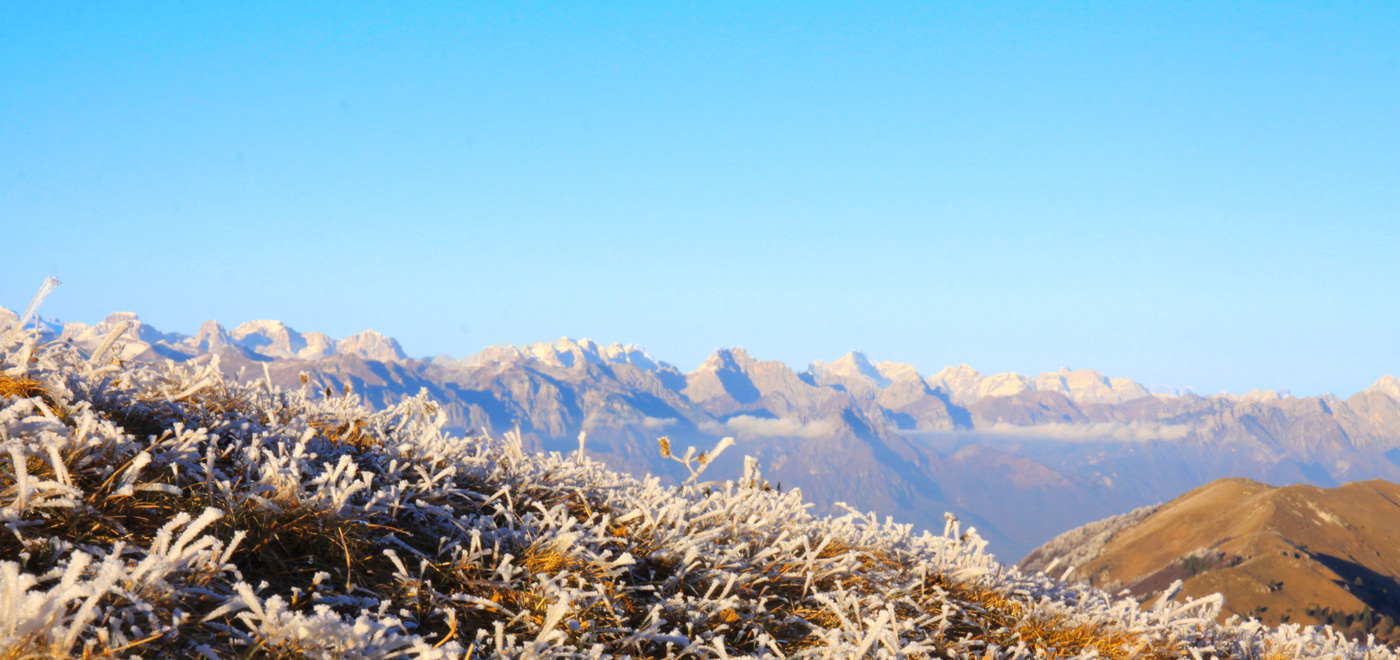Frosted grass on Monte Grappa