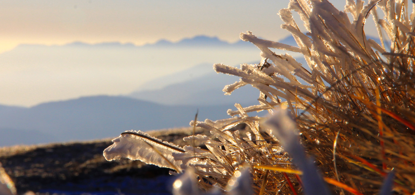 Zoom on the frosted frass on Monta Grappa during Autumn