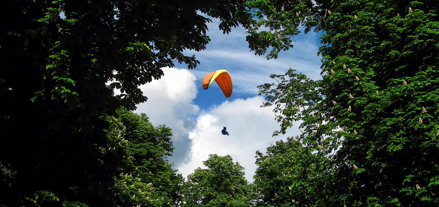 parapendista che vola in cielo visto attraverso le fronde degli alberi