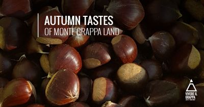 Autumn Tastes of Monte Grappa
