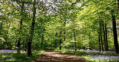 Seminario di Yoga a Crespano del Grappa