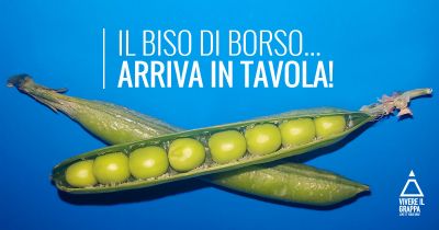 Il Biso di Borso... arriva in tavola!