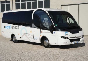 Canil Service Bus Rent Bassano