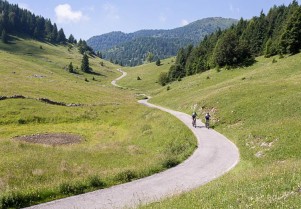 ViviBike Monte Grappa