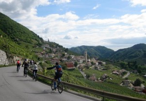 ViviBike santo stefano - treviso