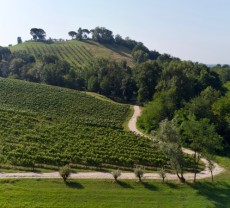 Azienda Agricola Terraprava